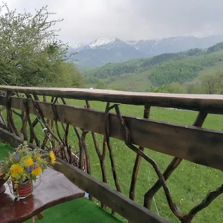 Casa Rustica Hytte Braşov