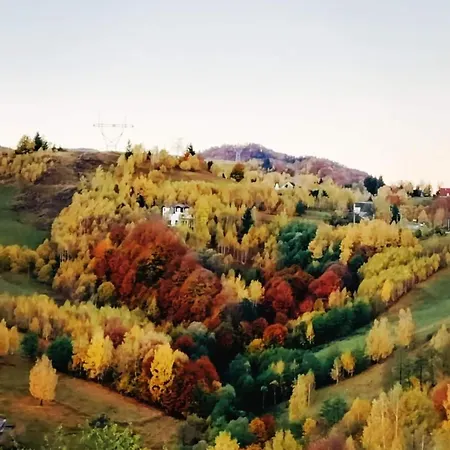 Casa Rustica بيت خشبي براشوف