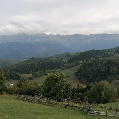 Casa Rustica Cabană