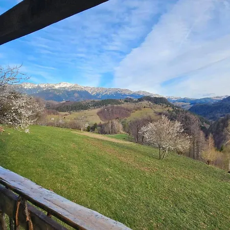 Casa Rustica Hytte *