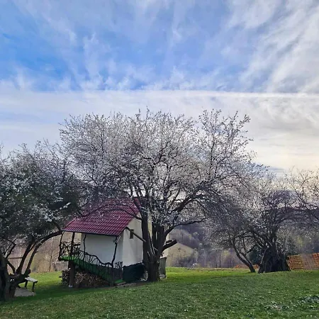 Casa Rustica * Brasov