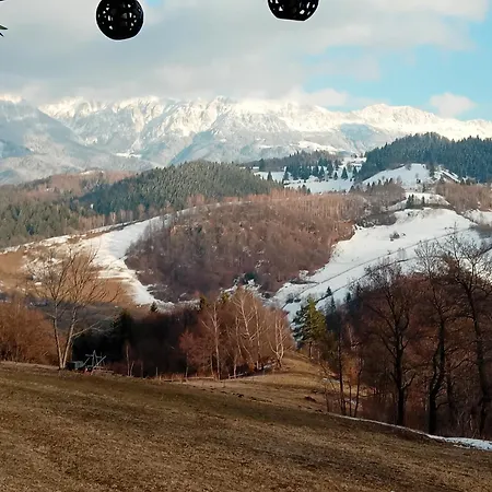 Casa Rustica Cabană Brașov
