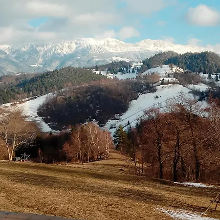 Casa Rustica Cabană *