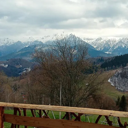 Cabană Casa Rustica *