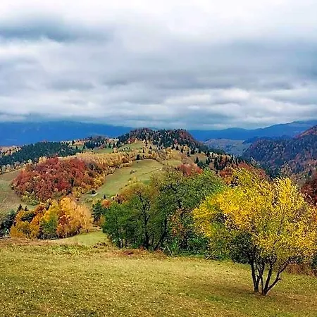 Casa Rustica * Brassó