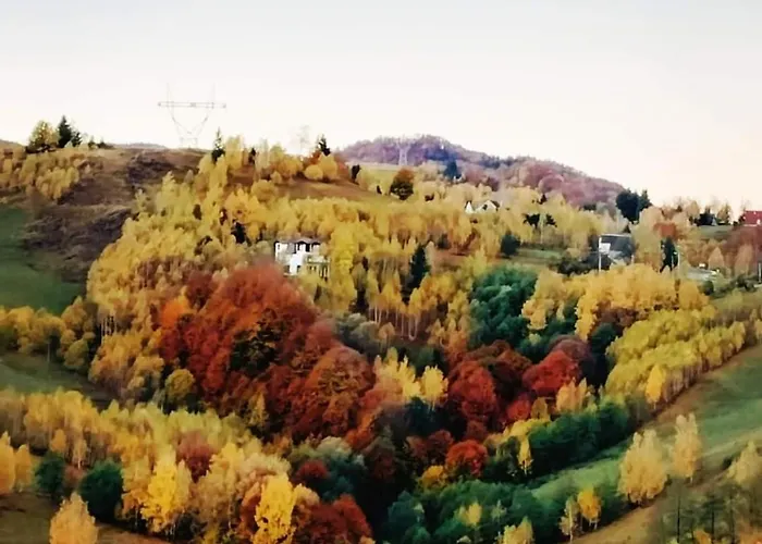 Casa Rustica Lodge Braşov