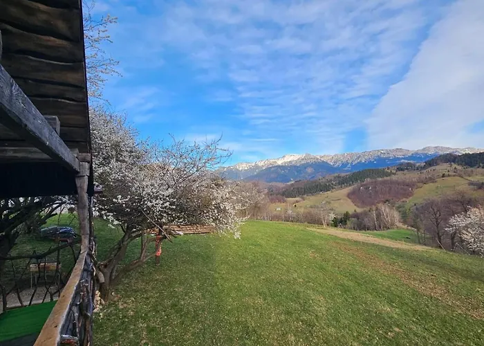 Деревянный коттедж Casa Rustica *