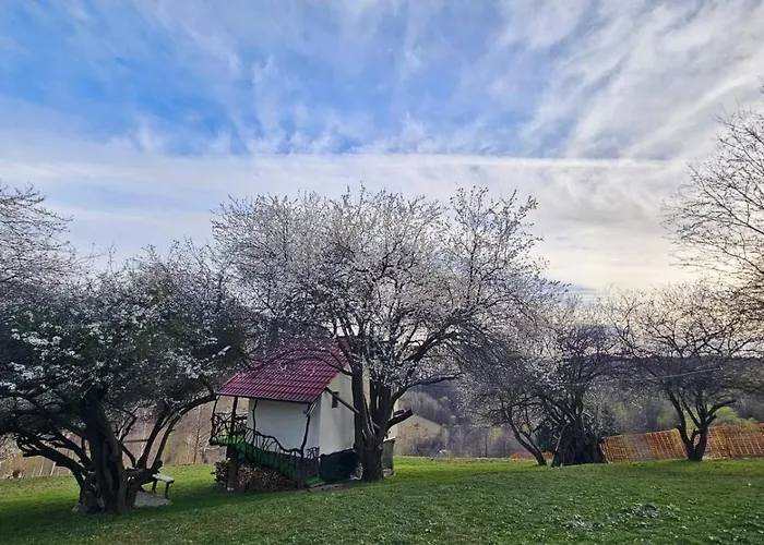 Casa Rustica * Braşov