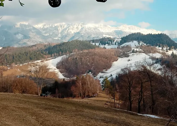 Casa Rustica Lodge Braşov