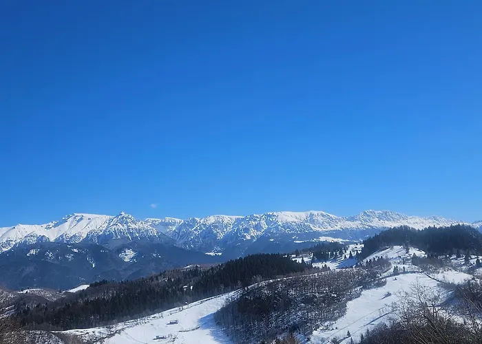 Casa Rustica Деревянный коттедж